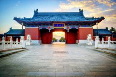 大學與職業(yè)技術(shù)學校之爭, 如何診斷網(wǎng)